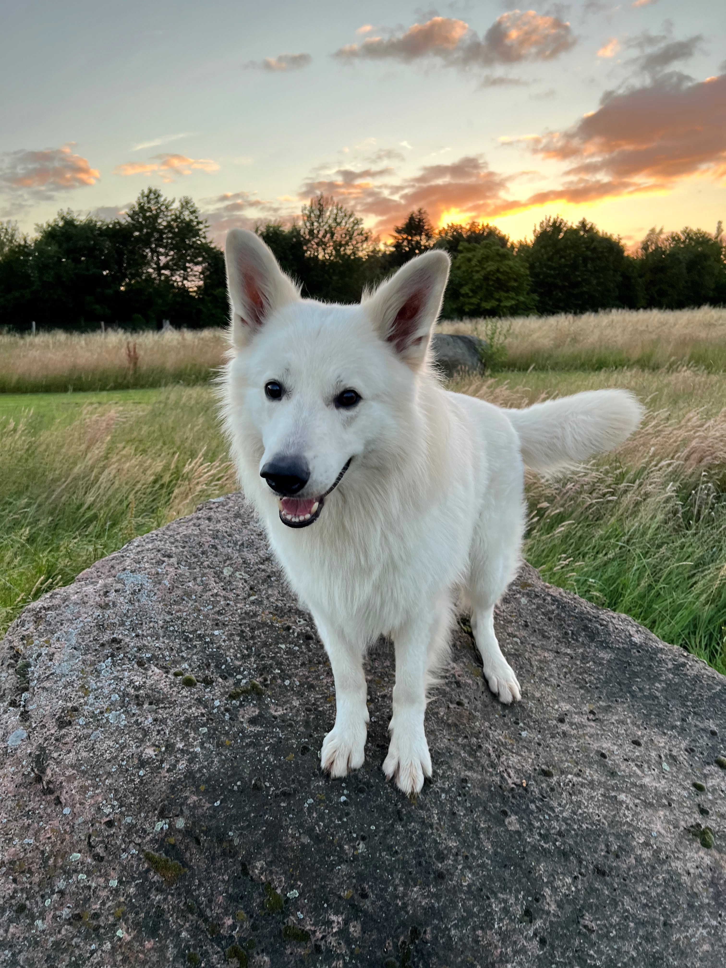 IMG_8640